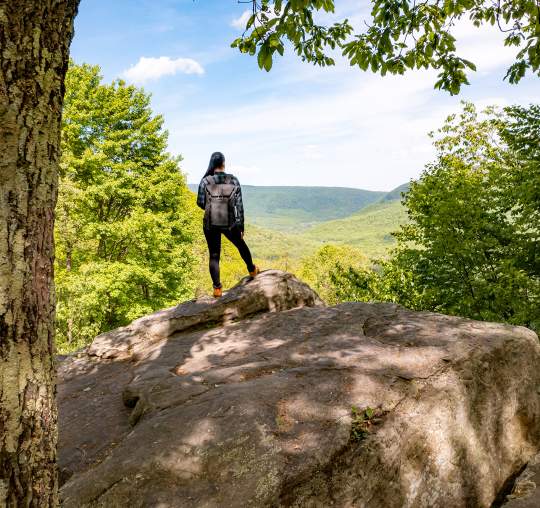 Baughman Rock at Ohiopyle