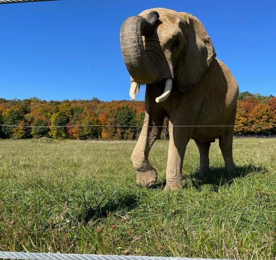 International Conservation Center