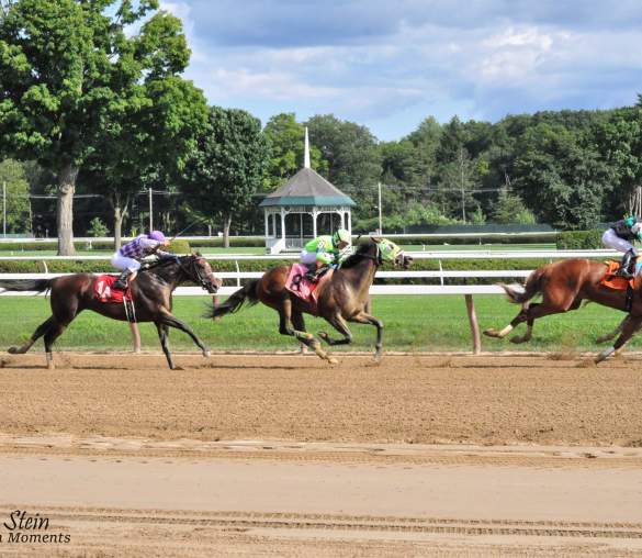 Horses racing around the race track