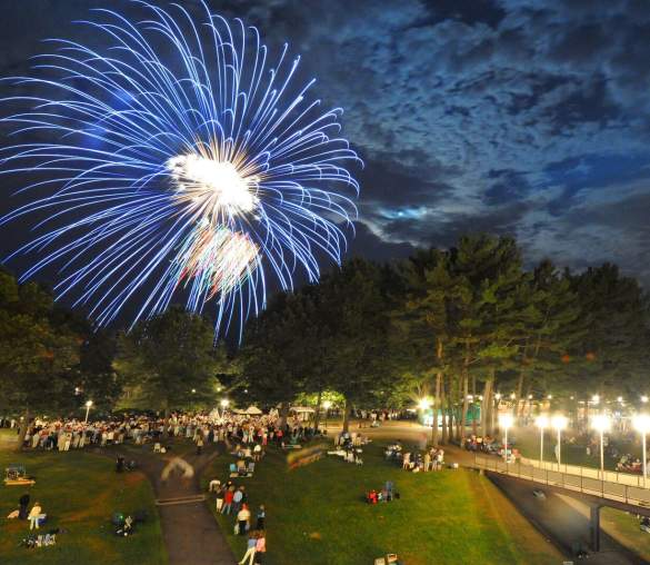 Concert attendees watching fireworks