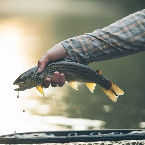 Fishing in Cumberland Valley