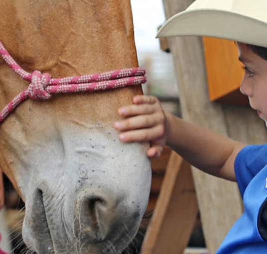 Boy and Horse