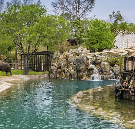 Elephant Springs Blog Header