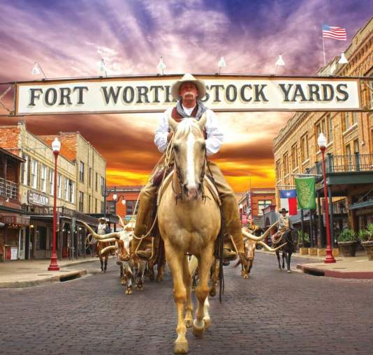 Fort Worth Herd