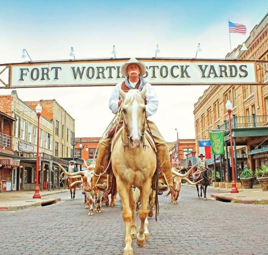 Stockyards Cowboy