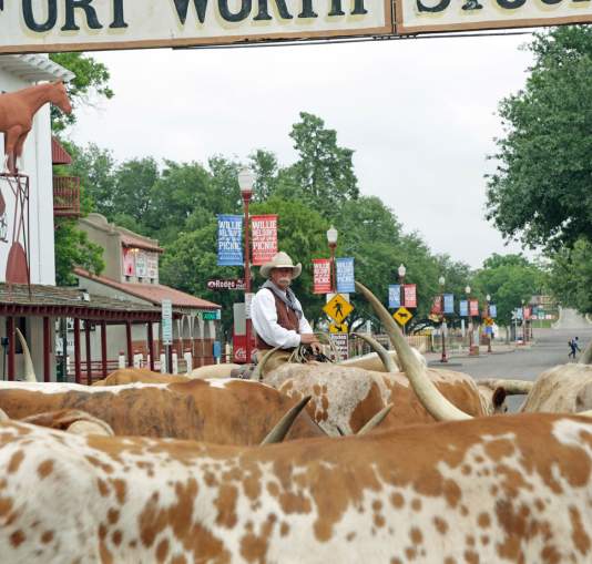 Stockyards sign Longhorns