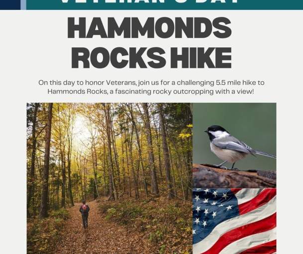 Hammonds Rocks Veterans Day Hike