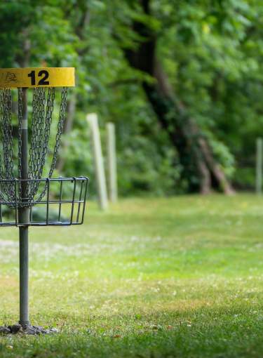 Disc golf player throwing disc to goal 12