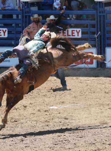 Greeley Stampede Event