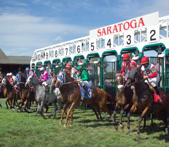 race horses after leading the starting gate