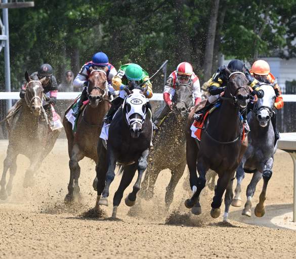 horses running on dirt track