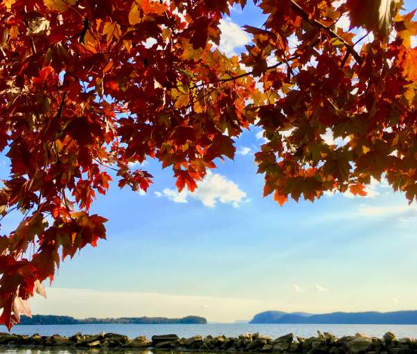 Red fall leaves against the backdrop of the Hudson River.
