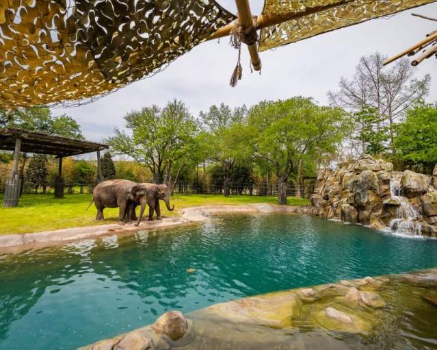 Elephant Springs zoo