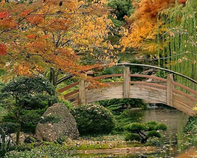 Where To Find Fall Foliage in Fort Worth