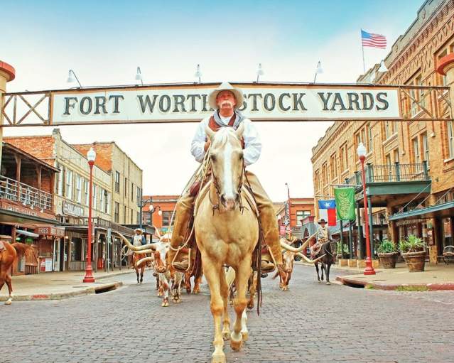 Stockyards Cowboy