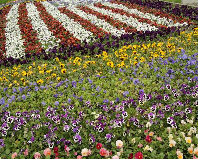 Gardens and Flowers