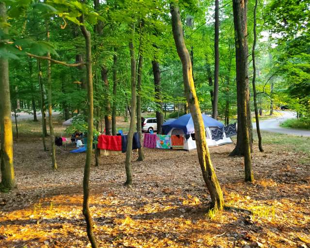 Campground - Kohler-Andrae State Park
