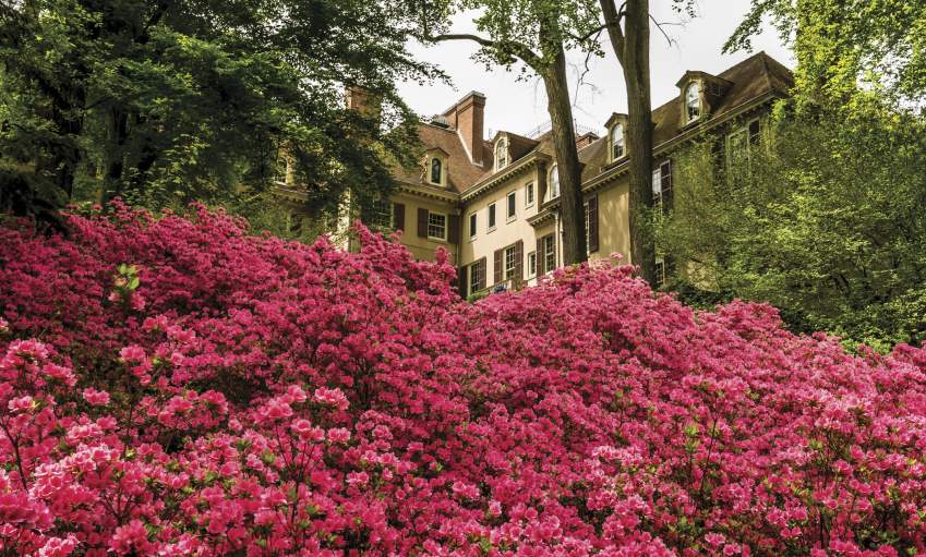 Winterthur Museum, Garden & Library