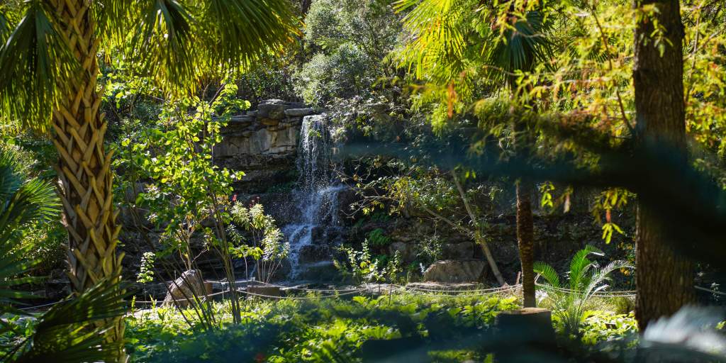 Zilker Botanical Garden | A Peaceful Oasis in Austin