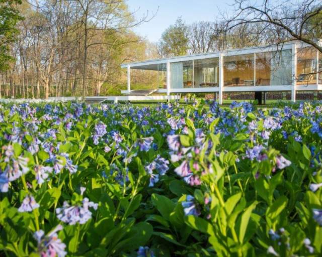 Edith Farnsworth's Country House Celebrated in 2020 | EnjoyAurora.com