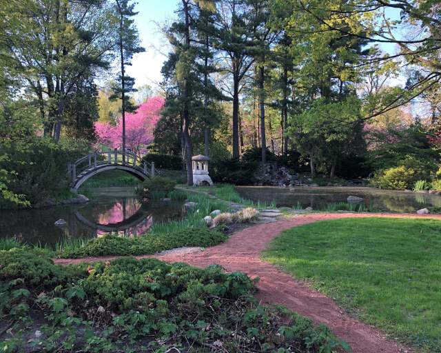 Fabyan Japanese Garden - Spring time