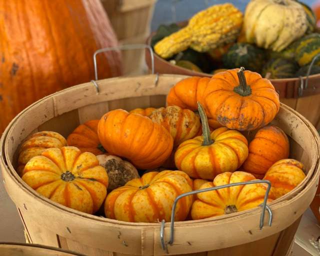 Keller's Farmstand Pumpkins