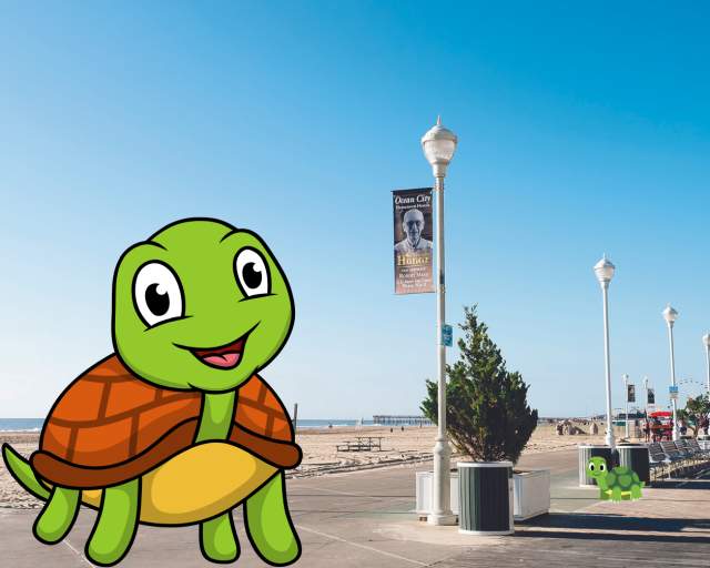 Turtles on the Boardwalk