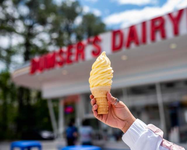 Dumser's Dairyland