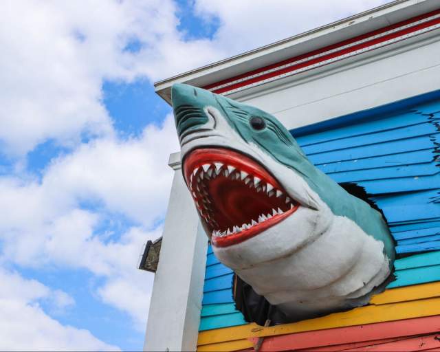 Ripley’s Believe It or Not!