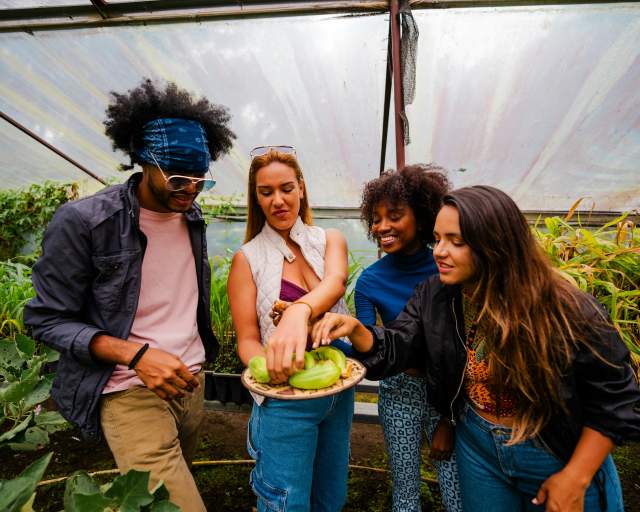 Amigos probando verduras recién cosechadas en Hacienda Mamecillo, Boquete, Provincia de Chiriquí, Panamá