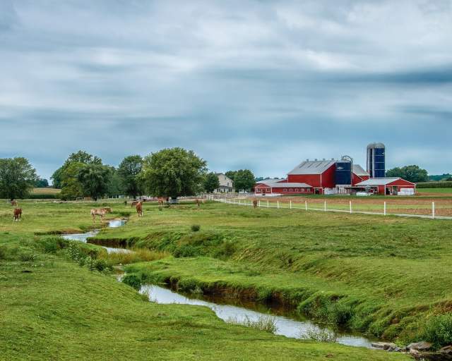 A large field and small stream on a farm