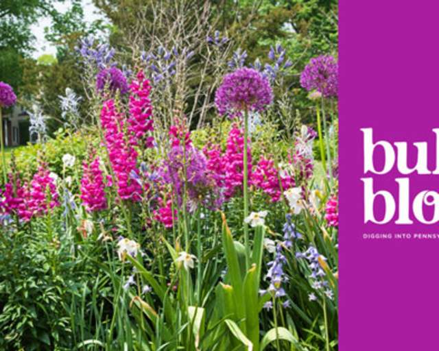 10 Reasons Pennsylvania is a Paradise for People Who Love Gardens