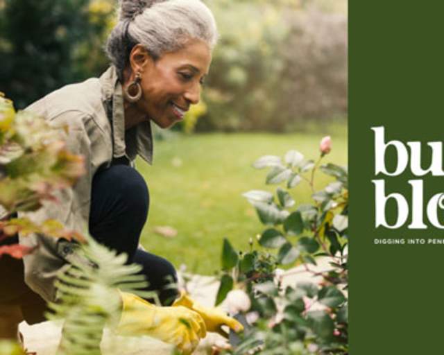 Do Try This at Home: Planning the Eternal Garden