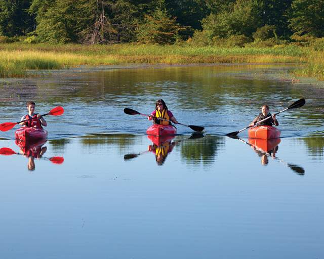 Presque Isle State Park: Tranquility Found