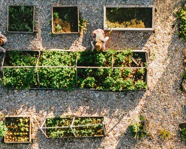 Embrace Your Planting Zone