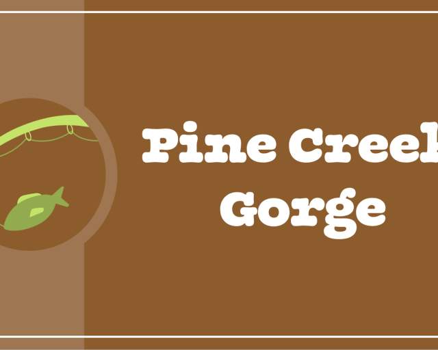 Pine Creek Gorge