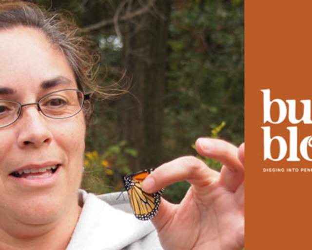 Q&A: Meet a Master Gardener
