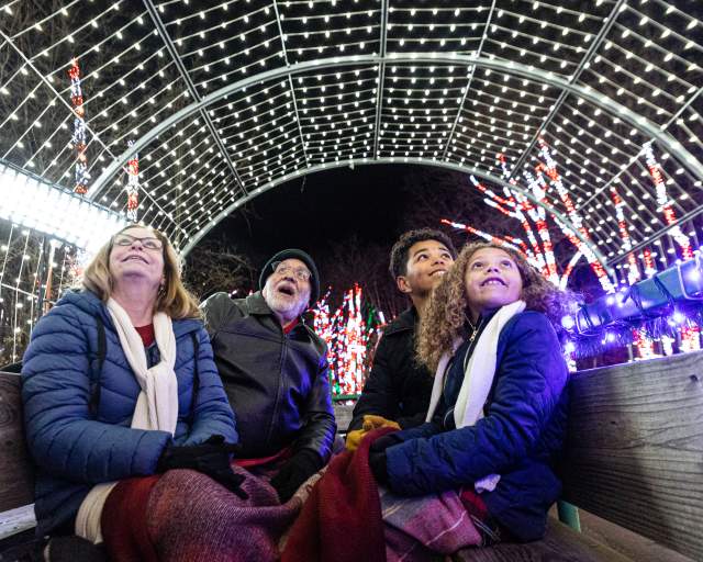 Best Christmas Lights in Pennsylvania