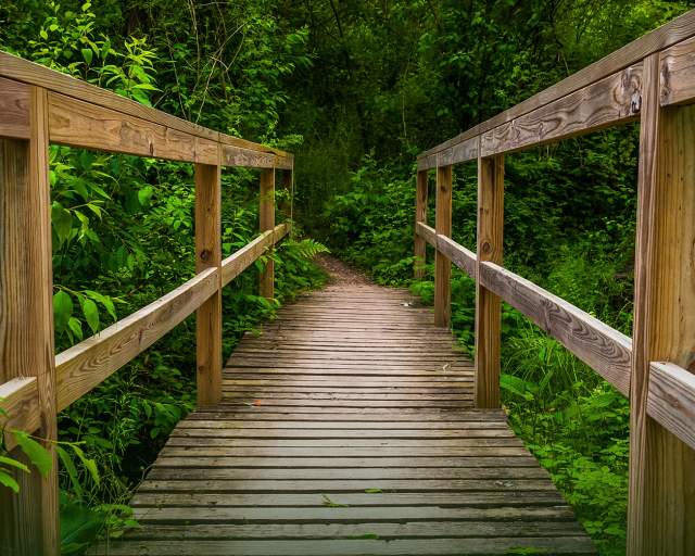 Bridge Trail Codorus State Park Nature