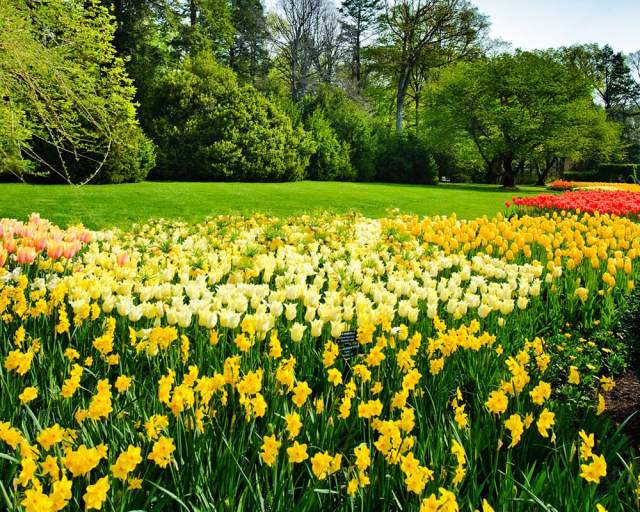 Gardens and Arboretums in Pennsylvania