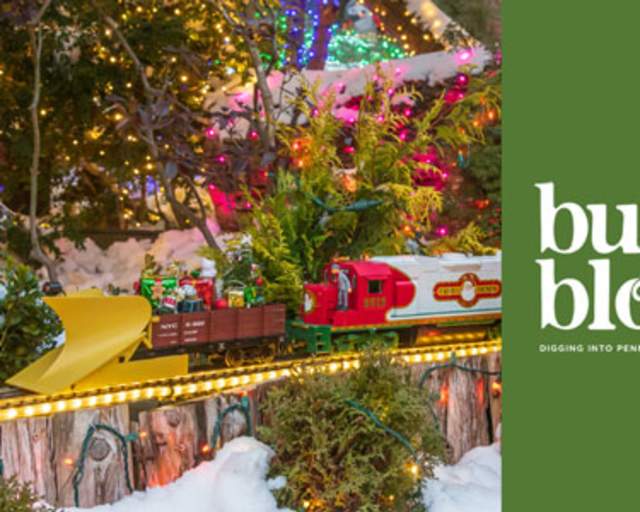 Do Try This at Home: Winter in the Garden