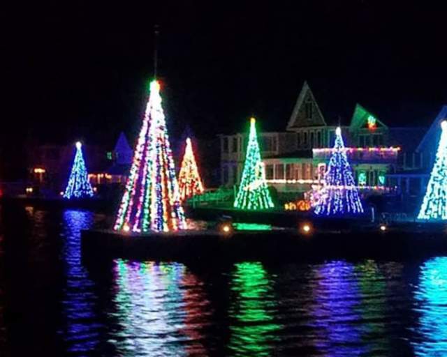Trees decorated with lights at night at Conneaut Lake