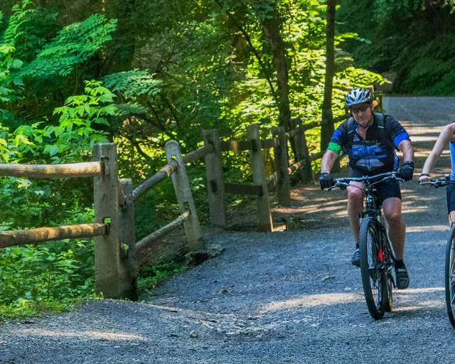 Biking Trail Park Nature