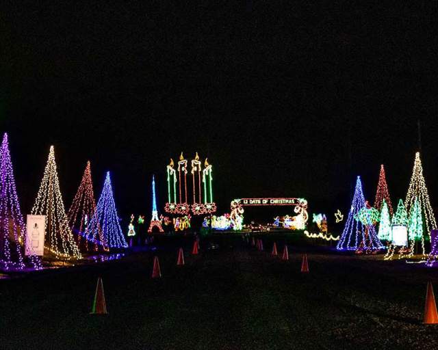 Christmas trees decorated with lights at night at Shady Brook Farms in Bucks County