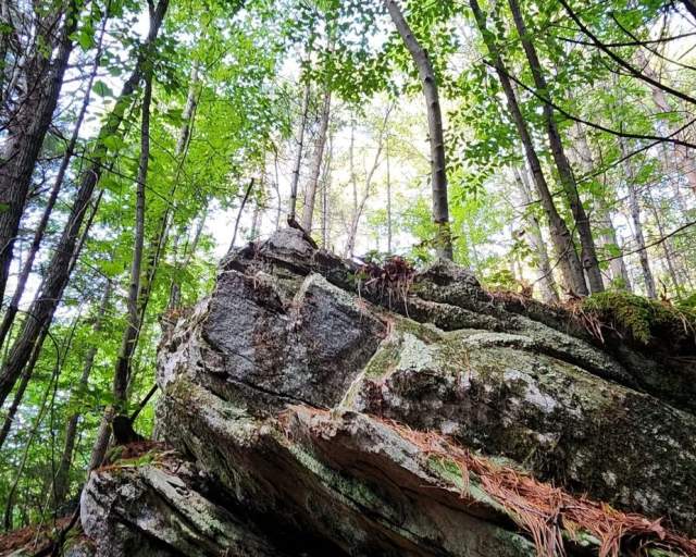 Rock Climbing and Bouldering Experiences in PA