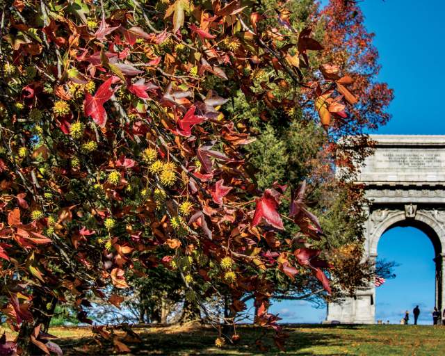 A Getaway Guide for America's 250th Anniversary