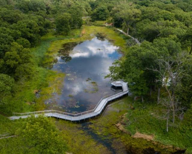 Aerial view of a wildlife area
