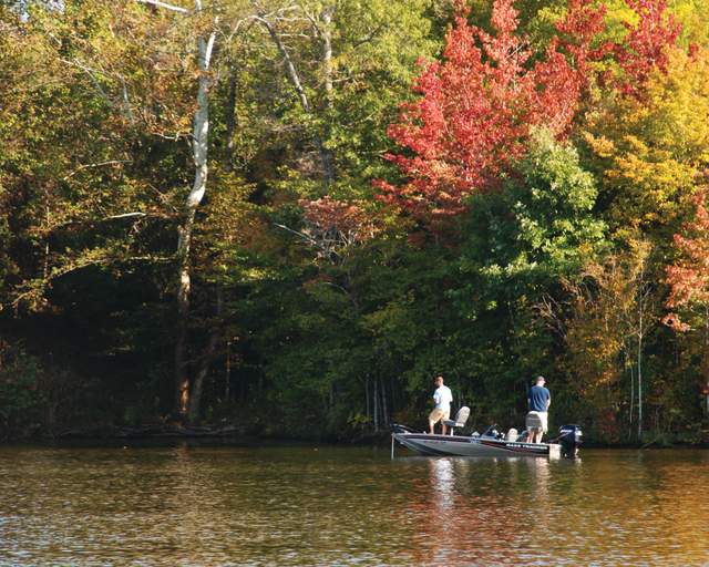 Randleman Lake Vertical