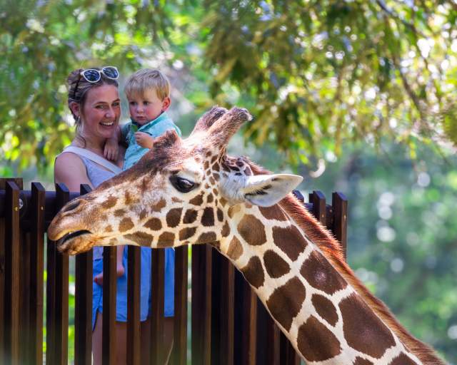 Mom and Son on the Giraffe Deck at the North Carolina Zoo