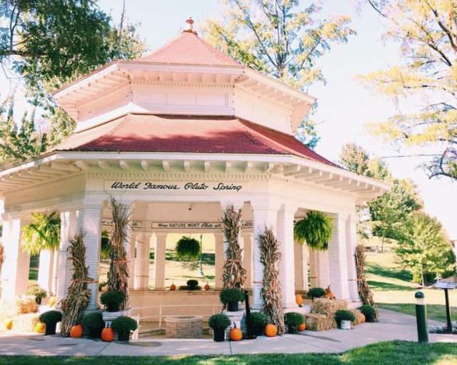 Pluto Springs VFL Instagram